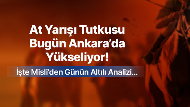 At Yarışı Tutkusu Bugün Ankara’da Yükseliyor! İşte Misli’den Günün Altılı Analizi…