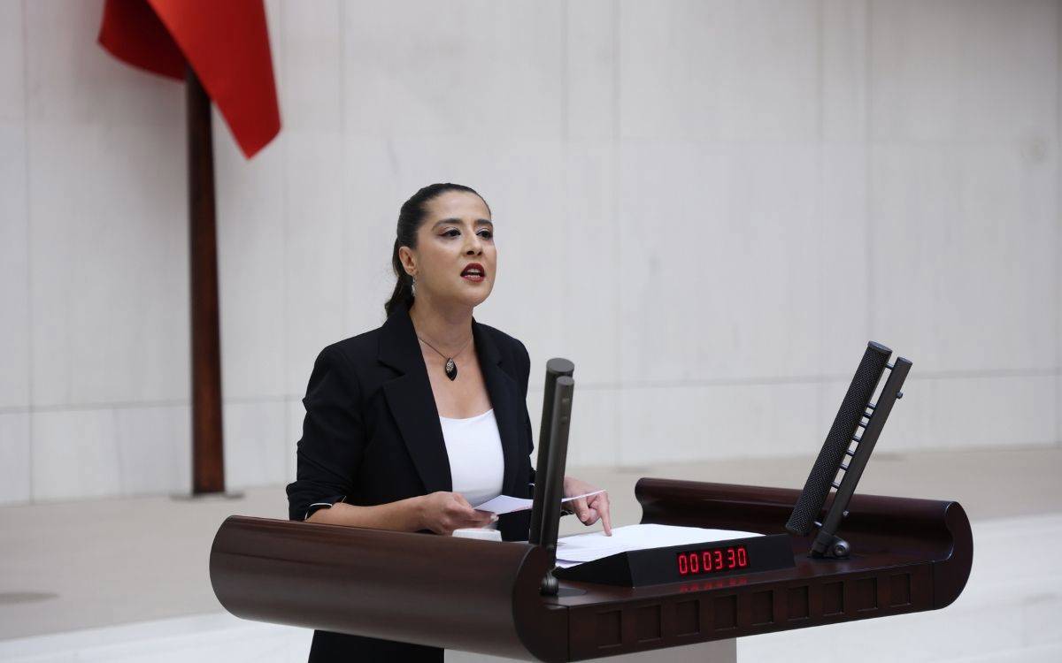 EMEP’li Karaca: Gazeteciler tutuklu, istismarcılar serbest