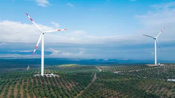 Enerjisa Üretim, yenilenebilir enerji yatırımlarını büyütüyor