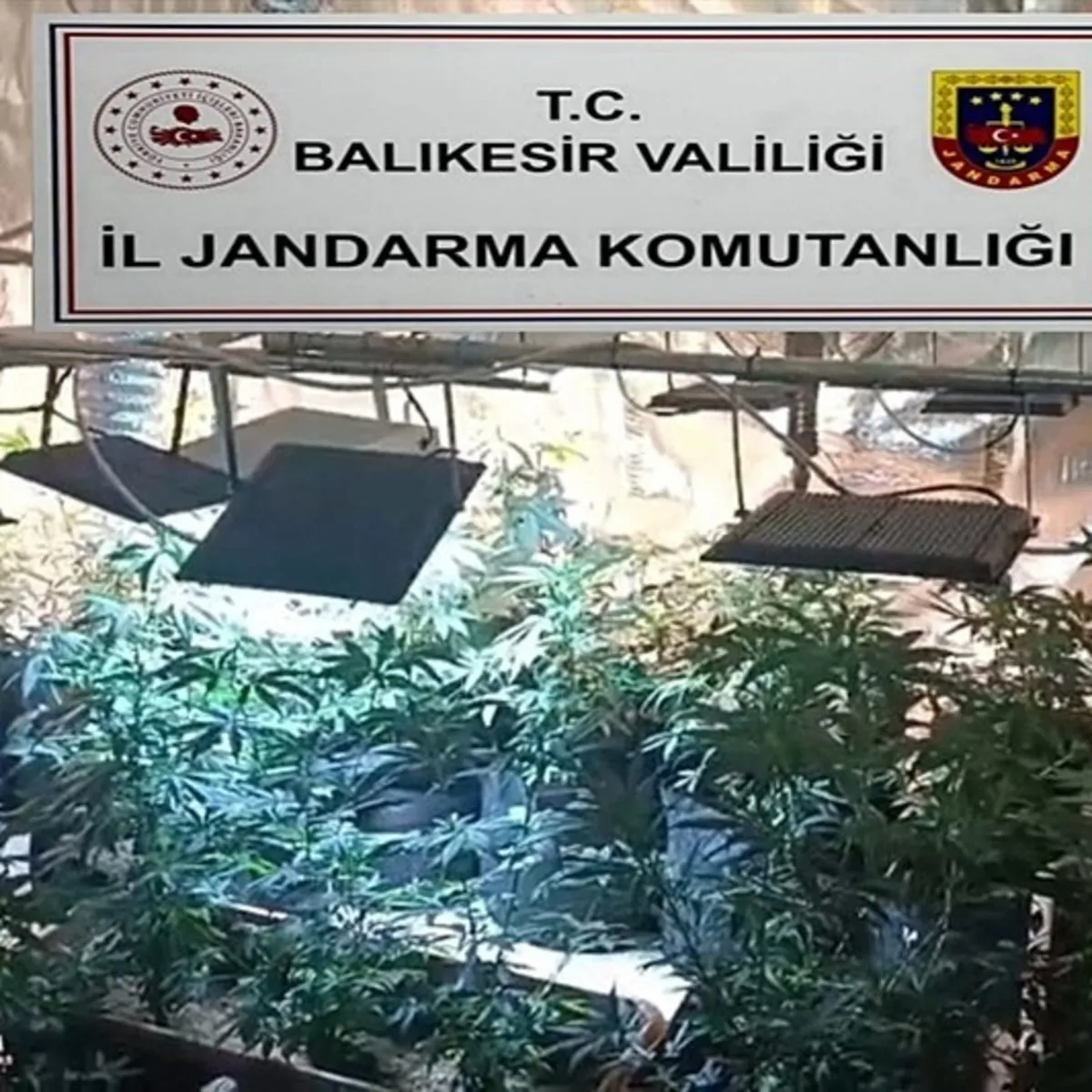 45 ilde "Narko Pars" operasyonu! 352 şüpheli yakalandı
