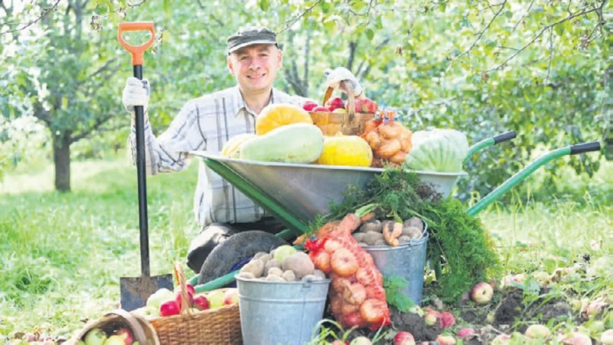 Kuraklık bitti, bereket başladı! TÜİK açıkladı: Tahılda yüzde 12, meyvede yüzde 57 üretim artışı bekleniyor