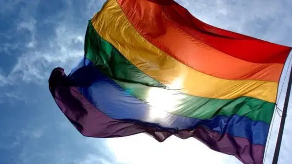 LGBTİ+ örgütlerinin ve hak savunucularının X hesaplarına erişim engeli