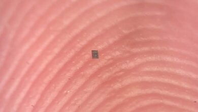 Araştırmacılar, programlanabilen dünyanın en küçük otonom robotunu üretti