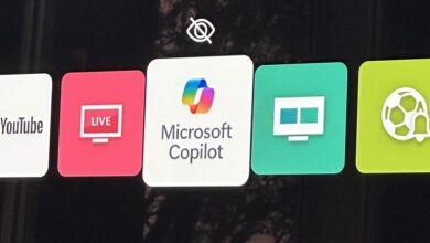 Microsoft Copilot