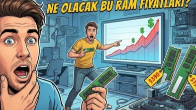 Ram fiyatları neden yükseldi ne olacak