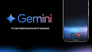 Gemini