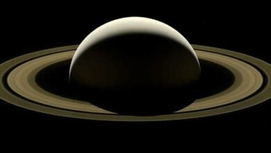 Satürn’ün Halkaları Sandığımızdan Çok Daha Geniş: Cassini Verileri Dev Bir “Hayalet Toz Halosu”na İşaret Ediyor