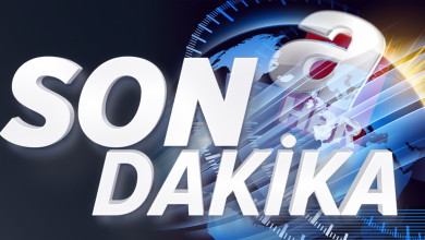 ahbr-default-1754911102530-6