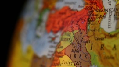 image_699adada9be81068012987