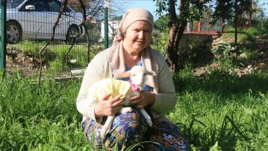 image_699af320affcb658191104