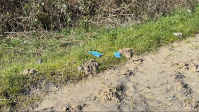 image_699c413e7d034952155187