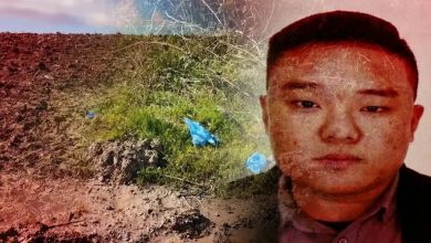 image_699d243071e87303391233