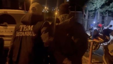 image_699d523e65997486504224