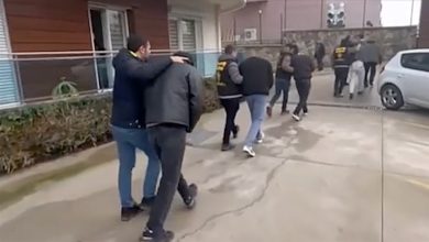 image_699ef10d040c9177677646