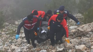 image_69a007f638315019505724