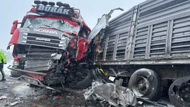 image_69a020667429e346863521