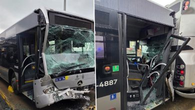 image_69a1780bd5d22641023066