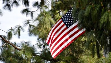 image_69a17e45ada9b298279313