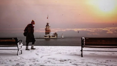 image_69a2b49f819d5459861045