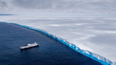 image_69abf5ff678d4424645188