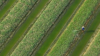 image_69ac067d1a9dc109664863