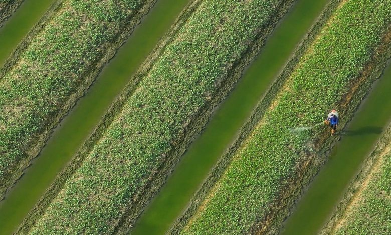 image_69ac067d1a9dc109664863