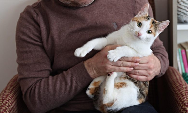 image_69ac1de2853ad389806544